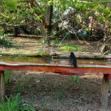 photo 2021-04-25 17-33-58