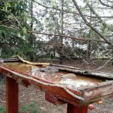 photo 2022-03-31 08-42-25