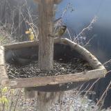 photo 2019-12-31 10-34-13