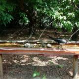 photo 2021-07-14 10-41-10