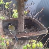 photo 2019-12-14 11-58-10