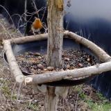 photo 2019-01-03 12-12-15