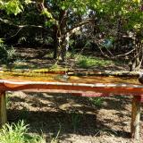 photo 2021-04-26 09-27-21