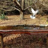 photo 2021-10-26 15-07-03