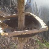 photo 2019-03-10 07-50-41