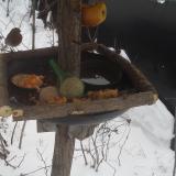 photo 2019-01-24 08-25-00