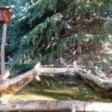 photo 2023-10-12 10-12-12