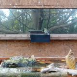 photo 2023-10-25 16-20-36