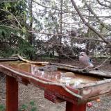 photo 2022-03-31 08-15-39