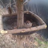 photo 2019-03-02 09-09-25