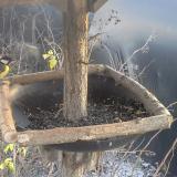 photo 2019-12-26 14-17-29