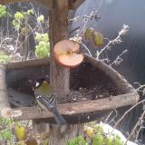 photo 2019-12-04 11-47-31