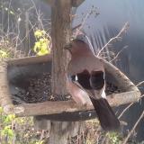 photo 2019-12-22 11-57-32