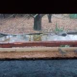 photo 2021-11-28 15-17-14