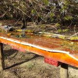 photo 2021-04-08 16-29-56