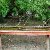 photo 2021-05-12 12-20-57