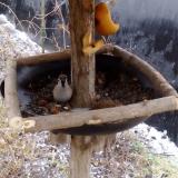 photo 2019-02-05 09-19-01