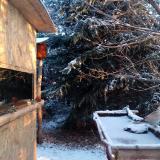 photo 2022-01-09 08-11-44