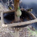 photo 2019-02-08 15-48-22