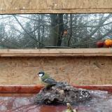 photo 2022-01-25 14-02-26