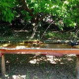 photo 2021-05-10 12-34-59