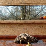 photo 2022-01-29 13-41-22