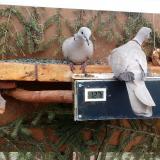 photo 2021-03-05 14-10-32