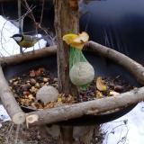 photo 2019-01-15 13-49-05