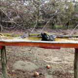 photo 2021-03-15 08-58-29