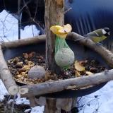 photo 2019-01-14 11-44-18