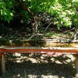 photo 2021-05-10 11-21-02