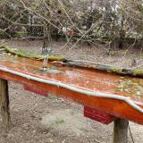 photo 2021-03-31 09-39-39