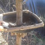 photo 2019-02-27 11-03-15