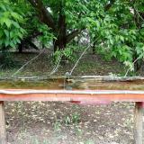 photo 2021-05-19 11-35-02