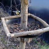 photo 2019-01-03 14-45-31