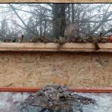 photo 2022-01-20 12-21-00