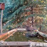 photo 2023-10-14 08-01-47