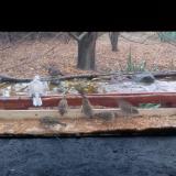 photo 2021-11-22 09-36-29