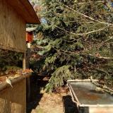 photo 2022-01-12 13-00-38