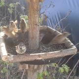 photo 2019-12-16 10-18-25