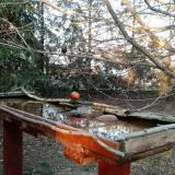 photo 2022-03-19 16-50-59