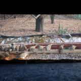 photo 2021-11-27 12-22-38