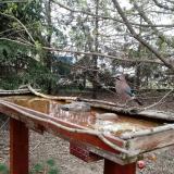 photo 2022-03-30 17-38-21