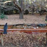 photo 2021-10-26 08-00-44