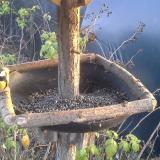 photo 2019-12-14 15-07-59