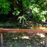 photo 2021-05-21 10-22-40