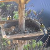 photo 2019-12-11 12-13-18