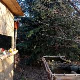 photo 2021-12-19 08-41-47