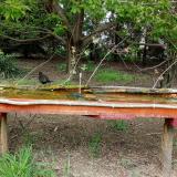 photo 2021-04-28 15-23-03