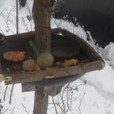 photo 2019-01-23 08-53-48